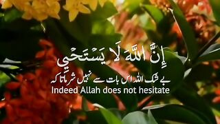 Verses of quran