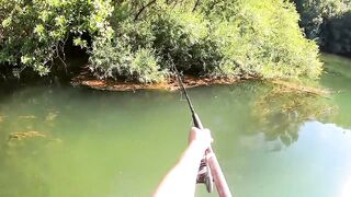 Реальной речной монстр, поклевка сома на удочку. Рыбалка на дикой реке