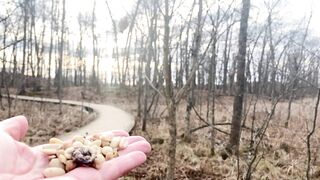 Hand-feeding Birds in Slow Mo - Red-bellied Woodpecker, Tuft…2023