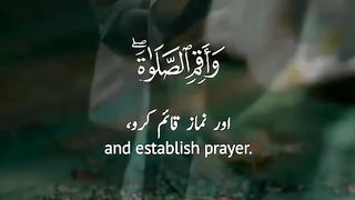 Islamic Status what's app beautiful Urdu Quran