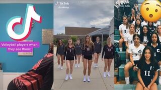 funny meme video tik tok