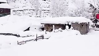 Kumratvalley snowfall today  ,,, kumrat valley,,, Kalam valley