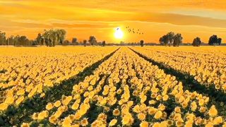 Beautiful Sky - Natural Beauty