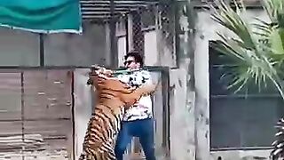 Tiger attack