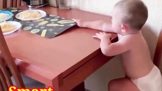 Babies | Genius or Smart ?