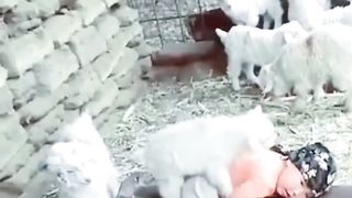 Cute baby funny video