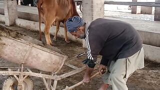 فارم _کو_صاف  رکھنا _ضروری ہے