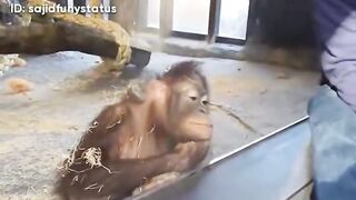 best comedy version # new funny upload video 2023