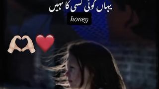 Whatsapp Status video need support