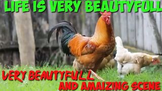 NUTURAL BEAUTY / VERY BEAUTYFULL AND AMAIZING SCENE