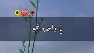 Good morning everyone and follow me plz