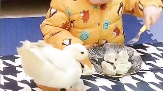 cute baby funny vedio