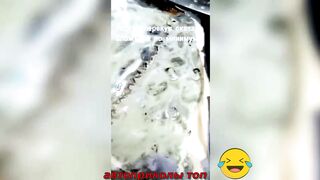 Новые Авто приколы Топ 1