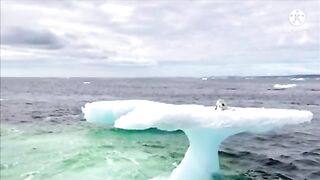 Рыбаки увидели нечто.