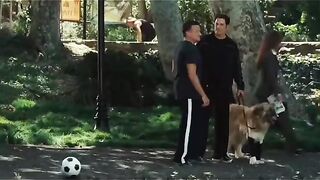 Вот это пас
