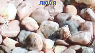Спасибо друзья что вы есть у меня