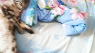 Супер чилл
