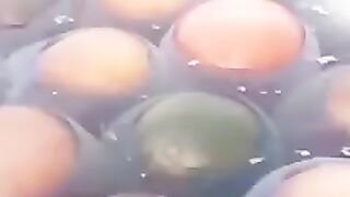Мы веселые медузы