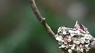 Мамы они такие