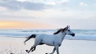 Моя стихия