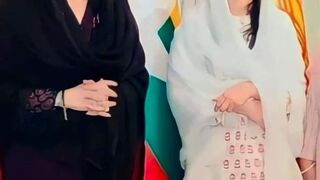 Funny videos ????