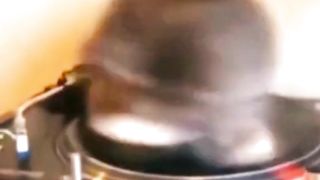 Very Funny Pet Videos