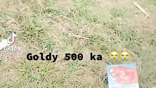 Gold leaf 500 ko ho gi