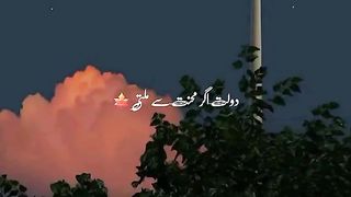 Status video