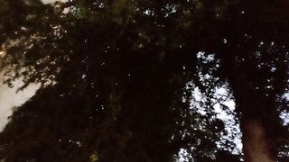Serene Birds Chirping in the House Garden