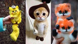 Top 10 cute animal in the world.