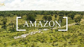 AMAZON 12K UHD 60fps Albarieng Vision with Inspiring Music(720P_HD)