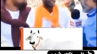 Hindu boy interview