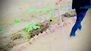 Plantation to increase more greening