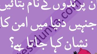 knowledge questions l urdu general knowledge sawal jawab l random facts l Genral knoledge quiz information exam Top facts # interesting things#