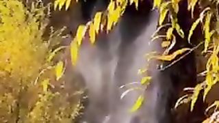 Nature is Love