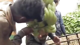 The Best Funny Videos - Try to Not Laugh # 06
