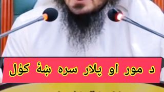 Sheikh Abu Hassan Swati |pashto bayan |د مور او پلار سره ښۀ کؤل