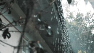 Rainy Serenity
