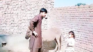 Funny video funny funny. #6
