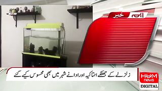 ترکی میں ایک مرتبہ پھر سے شدید زلزلہ ????