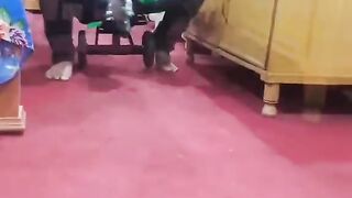 dhoom 6 #funny #fun Reels