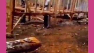 Buat Kem buat jaga kebun