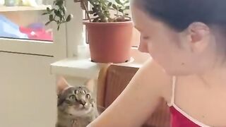 funny cat(;
