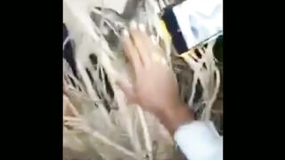 جہالت کی انتہا... ضll ۔,uffff