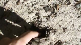 How to dig a Hole with your Finger