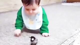 A Child Play with Bird