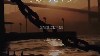 video of the day