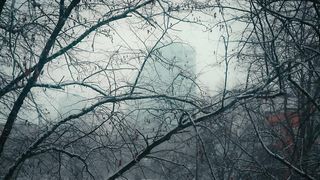 Tree Snow Blue Hill Falling Winter Stockholm