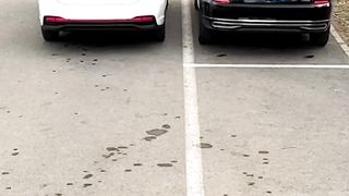 Parking skill