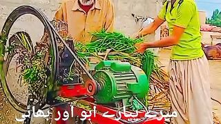 village culture